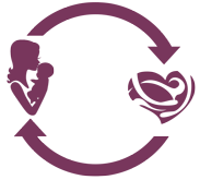 Easy Lactiful returns